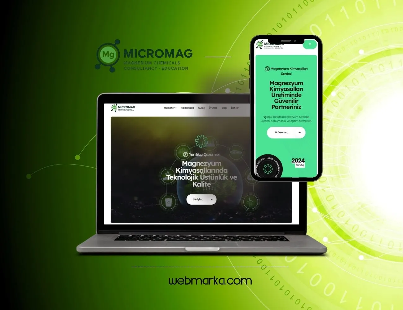 Micromag
